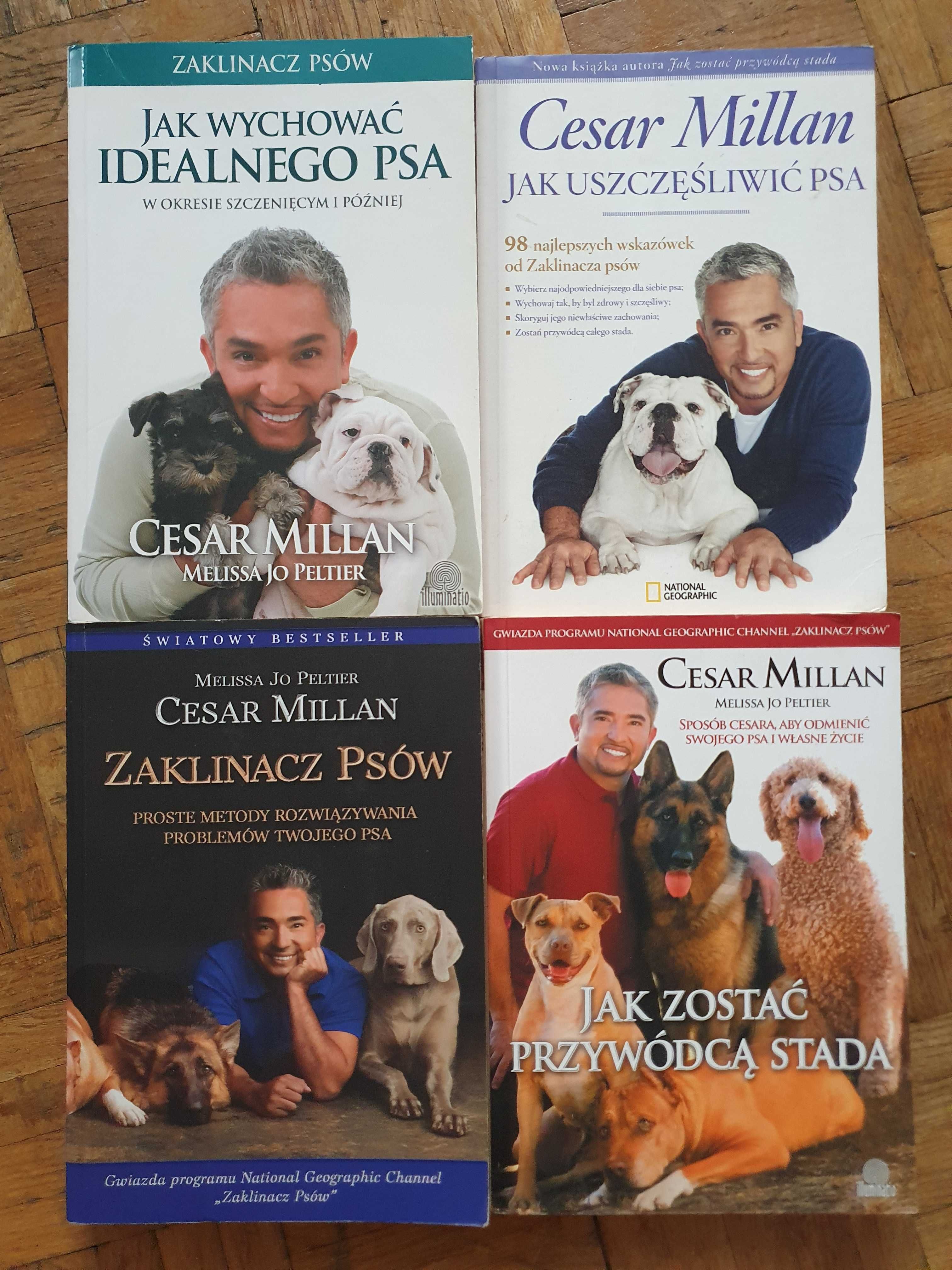 SUPER STAN Cesar Millan/Zaklinacz psów, "Jak uszczęśliwić psa"