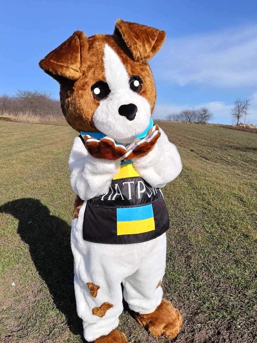 Шуточный стриптиз, Зайка Бейби, мишка Тедди, пес Патрон Киев и область