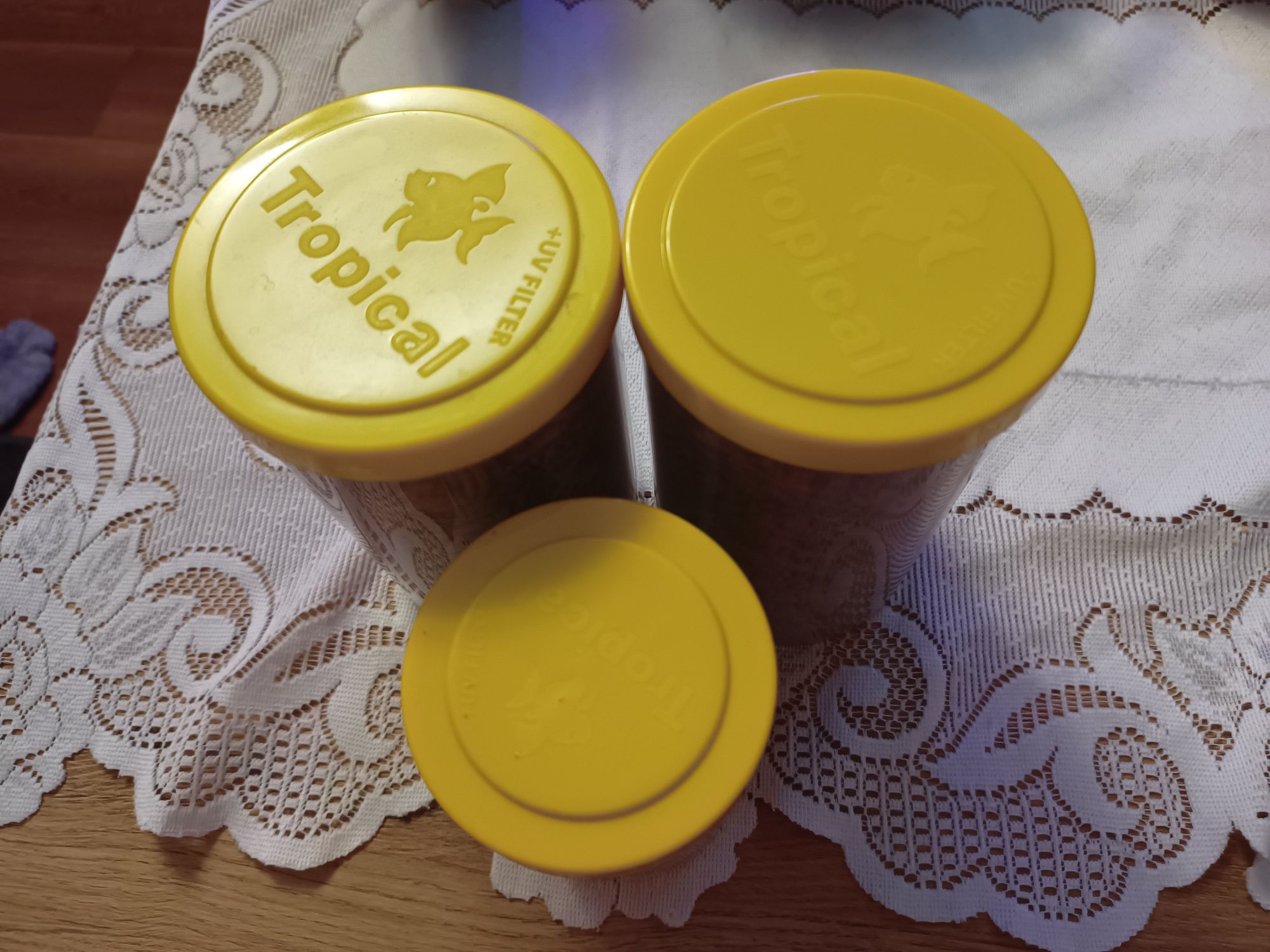 Karma dla żółwi wodno lądowych