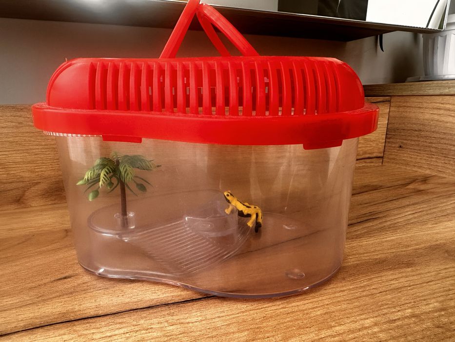 Акваріум, тераріум