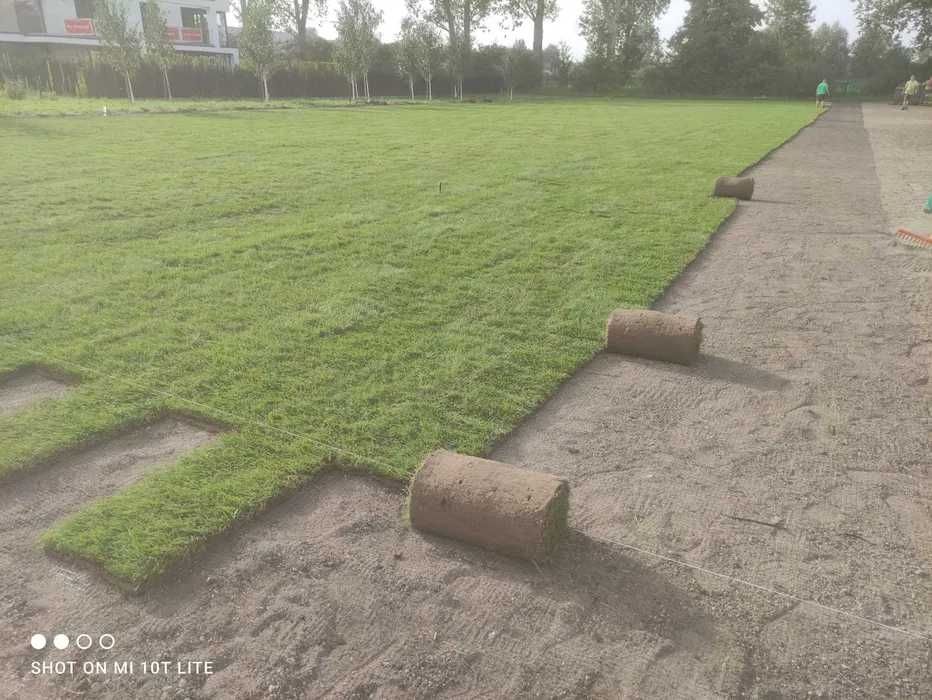 Trawa z rolki Strzegom (PRODUCENT)