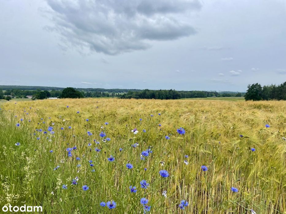 Działka z pięknym widokiem + pozwolenie na budowę domu/hotelu i stajni