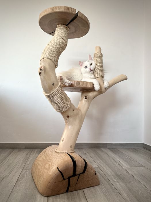 Naturalny Drapak Drapak Z Drewna Lina Sizalowa Slupek Do Drapania