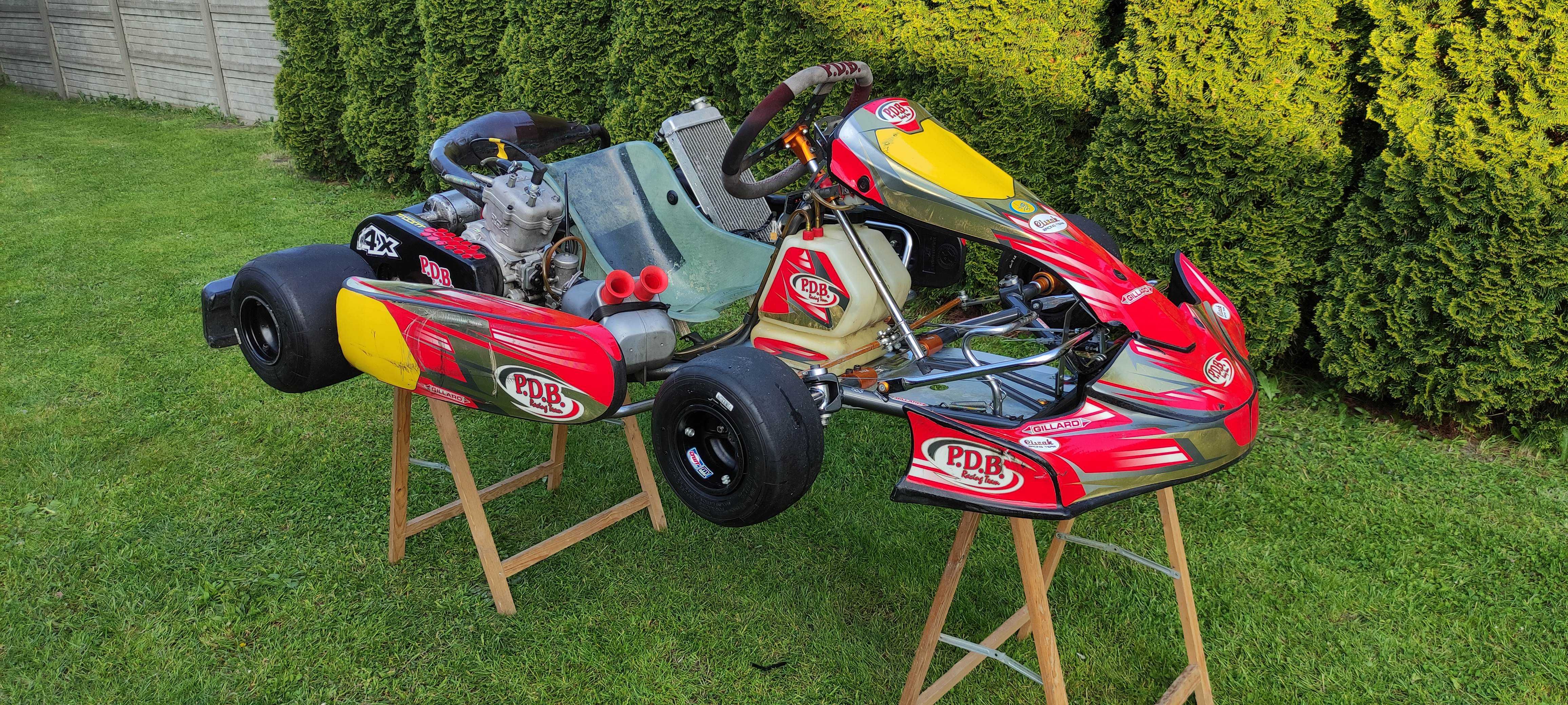 Gokart Gillard, ROK 125, profesjonalny