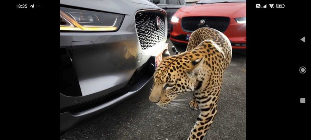 JAGUAR I-Pace  HSE 400EV  12/2018 года ТОП   панорама+ HUD+360кам