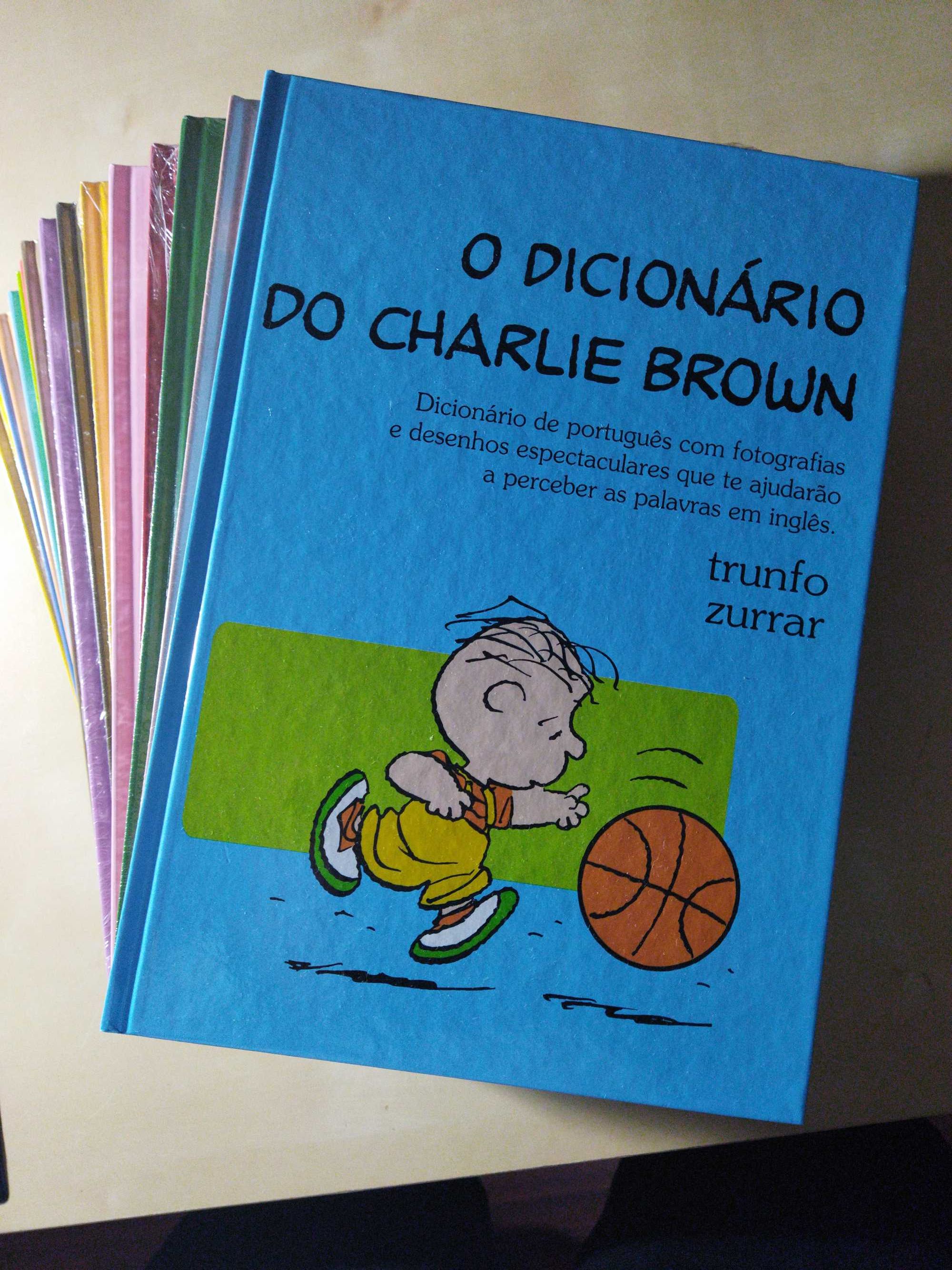 Dicionário infantil-juvenil Charlie brown português/inglês ilustrado