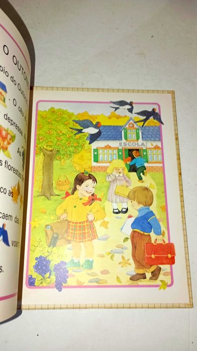 os meses e as estações do ano - Biblioteca dos Coelhinhos