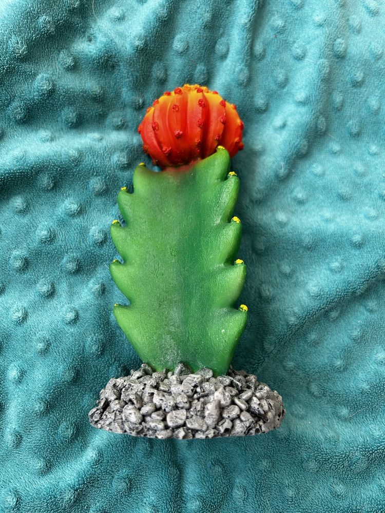 Kaktus do akwarium