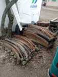 Resor resory Daewoo Lublin 1 2 3 FS intrall 3,5t 2,9t przednie tylne