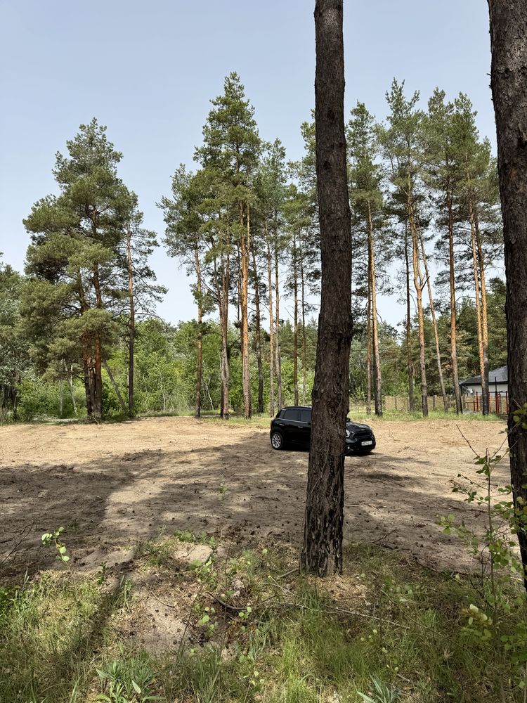 Дом 105 м2 Песчанка. Новая улица, сосны на участке.