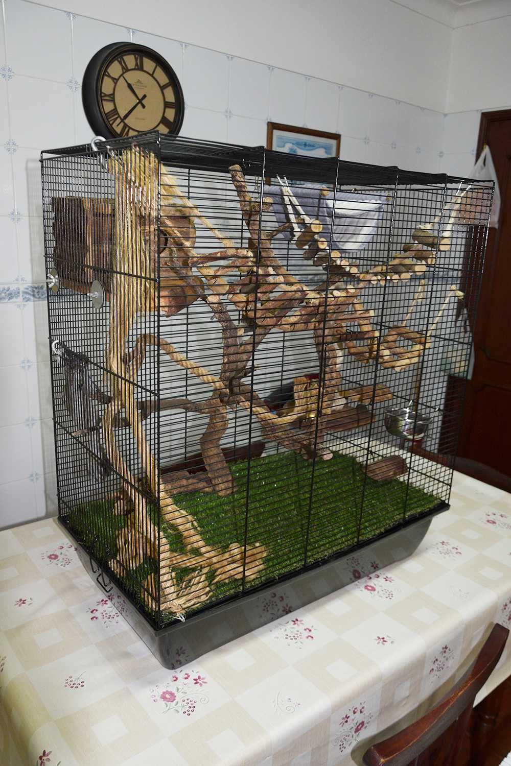 Gaiola Esquilos Passaros Grande