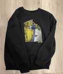 Bluza Thrasher wallride