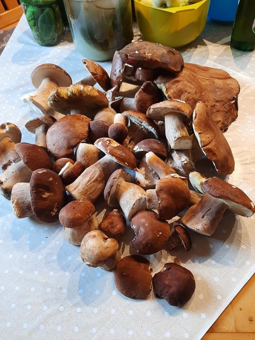 Suszony prawdziwek 200g