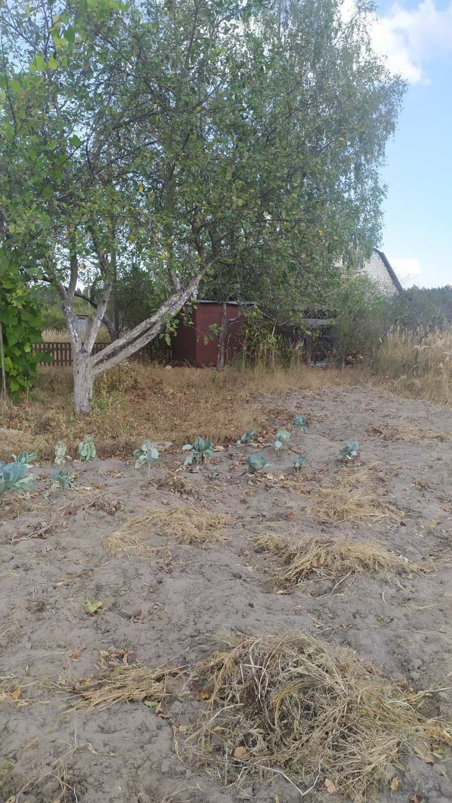 Дача село Гамалеевка, 12 км от города Шостка-20000 грн.