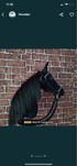 Kary hobby horse nowy