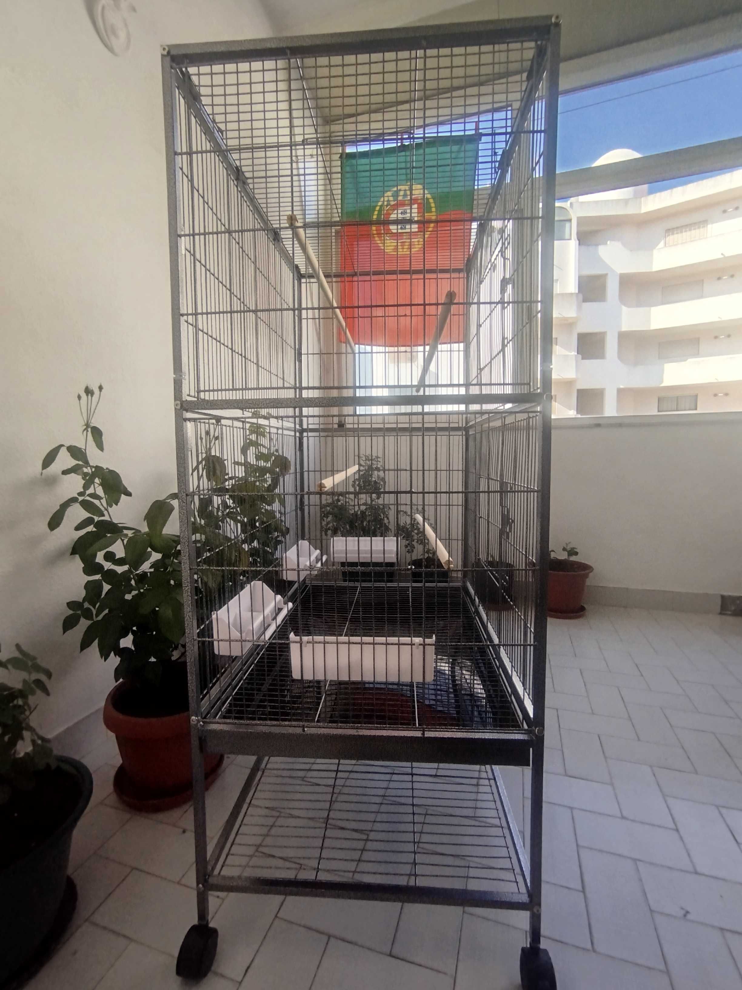 Gaiola papagaio nova