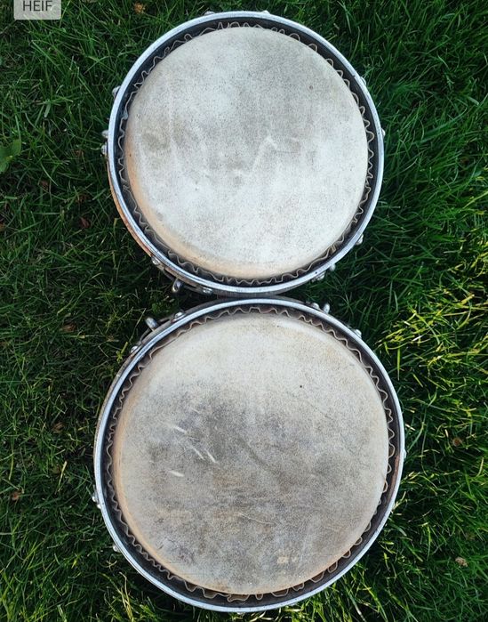 BONGOSY  VENEZOLANA SRL 60-70 lat Sarda  Percusion. Super cena