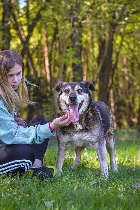 Daddy - towarzyski ze stabilnym charakterem