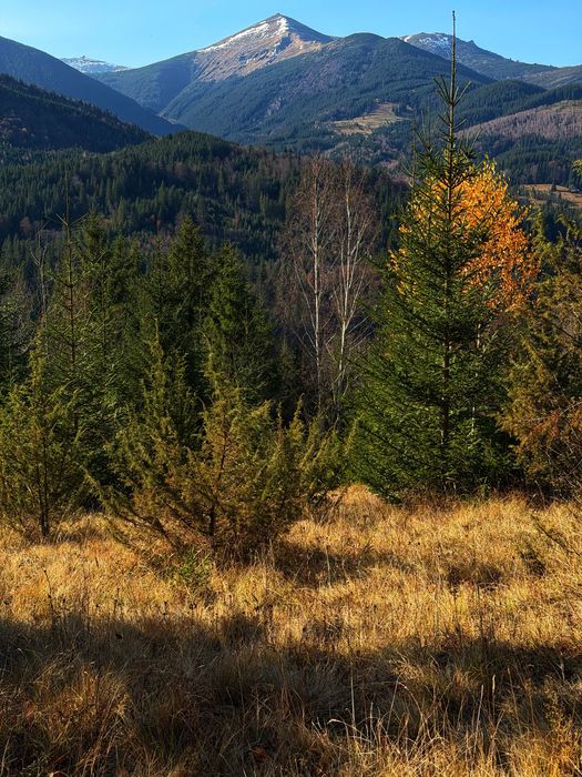 Земельна ділянка в Дземброні