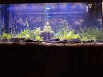 Aquário da Aquatlantis 110x40x60cm