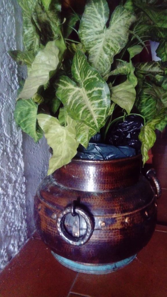 Vaso de cobre com planta