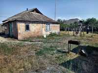 Продам Дом- 63м2 с Участком 67 соток в селе Феневичи, 30 мин  от Киева