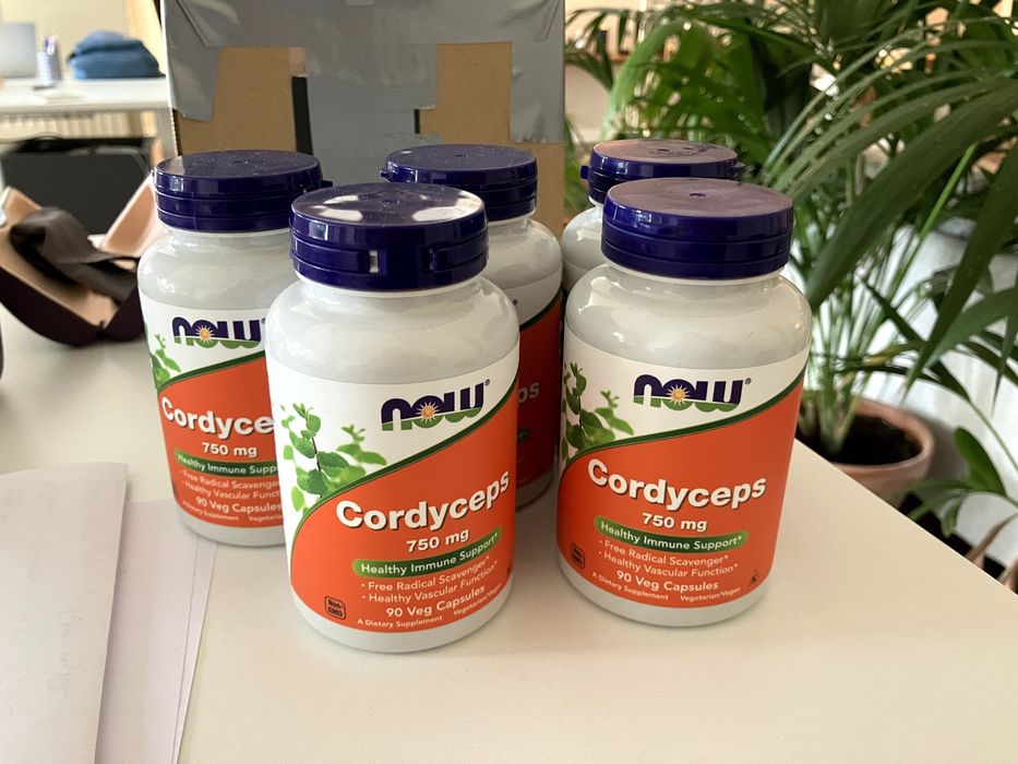 Suplemento Cordyceps (Conjunto ou individualmente)