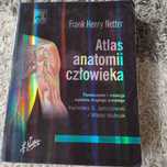 Atlas anatomii Nettera