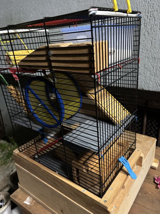 Rozbudowana i dobrze wyposazona klatka dla gryzoni