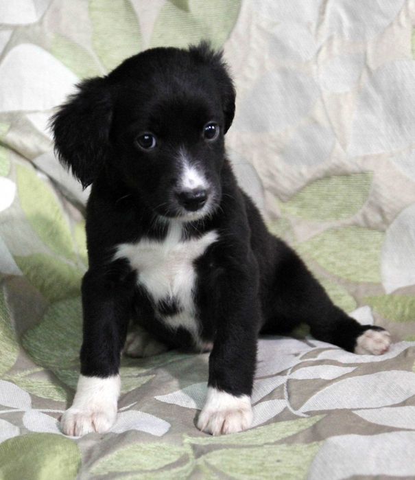 Позитив у Ваш дім