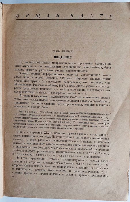 Эпштейн Г.В. Патогенные простейшие, спирохеты и грибки. 1931.
