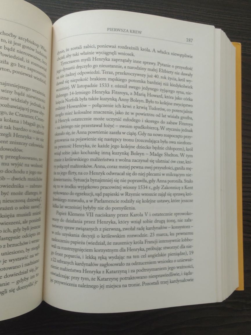 G.J Meyer Tudorowie prawdziwa historia niesławnej dynastii