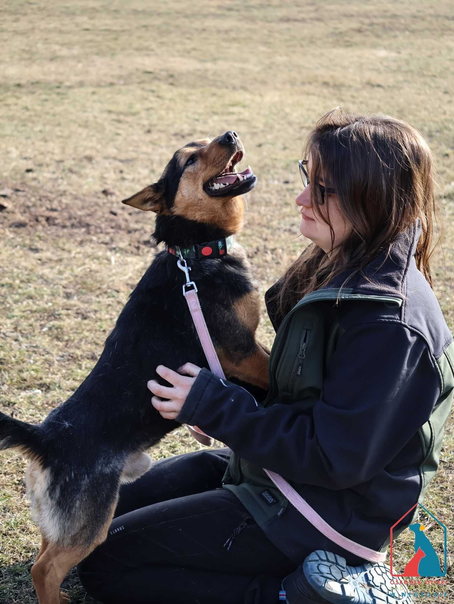 MŁODY, 13 kg, wesoły i towarzyski, lubi bawić się piłką, kocha ludzi