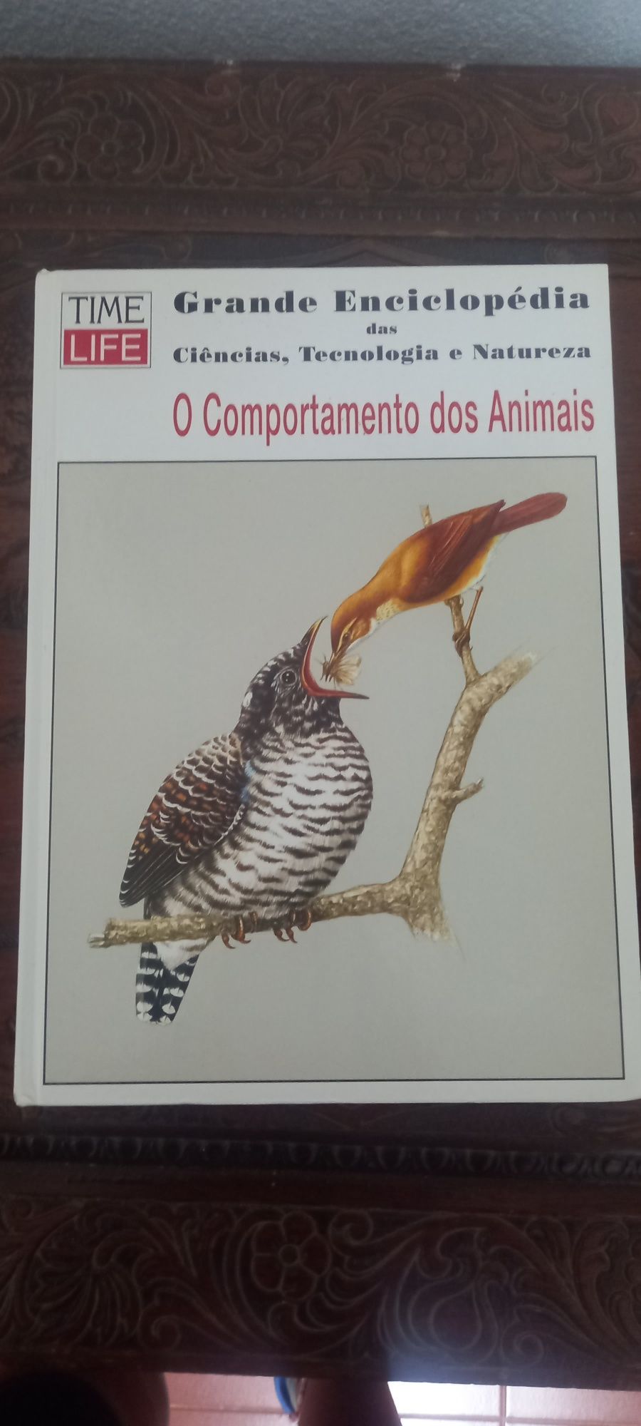 Livro "A grande enciclopédia "