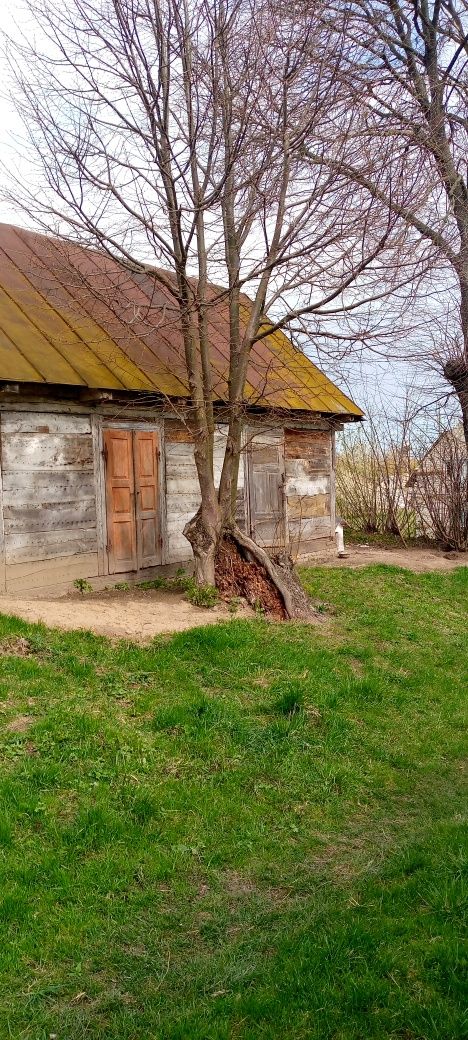 Терміново продам будинок в селі Певжа 30км від луцька.