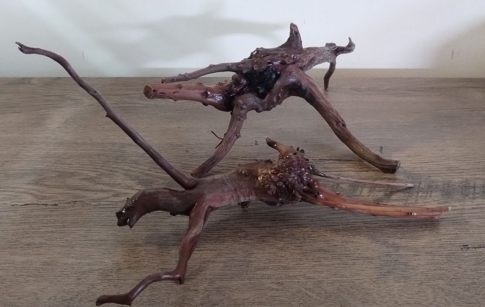 Korzeń do akwarium .