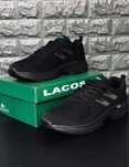 Кросівки Lacoste стильні, зручні. Кросівки Лакосте літні, легкі