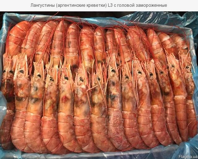 Креветка Аргентинська 10-20 Лангустин 2кг