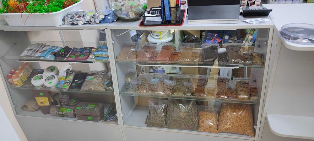 Акваріумістика, обладнення та корма