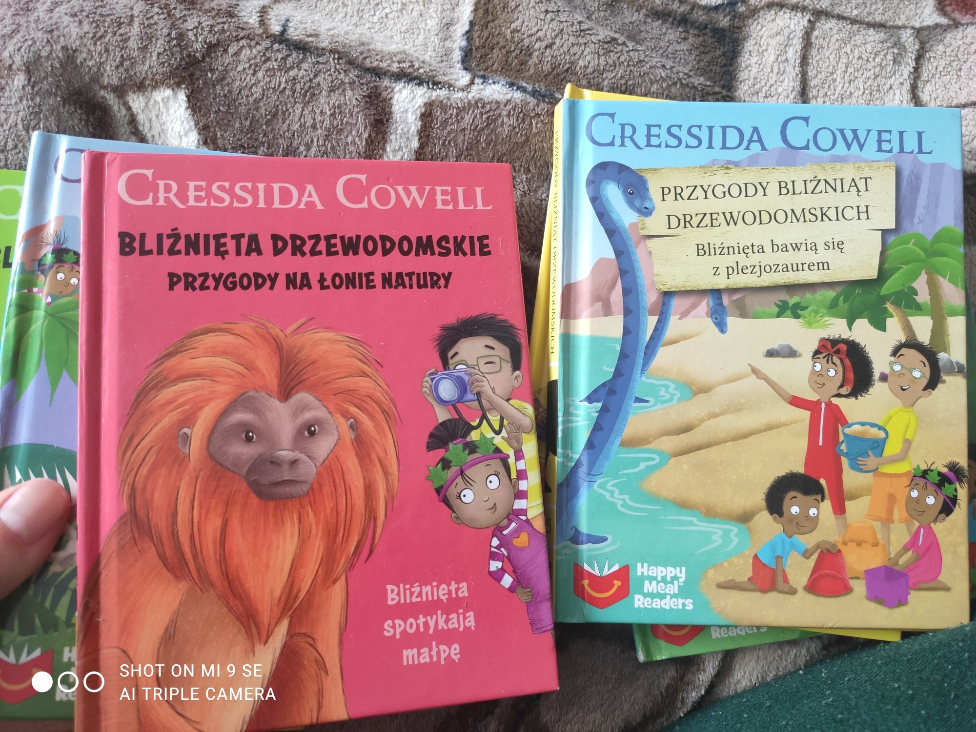 14 Książeczek książki dla dzieci Gressida Gowell bliźnięta Drzewodoms
