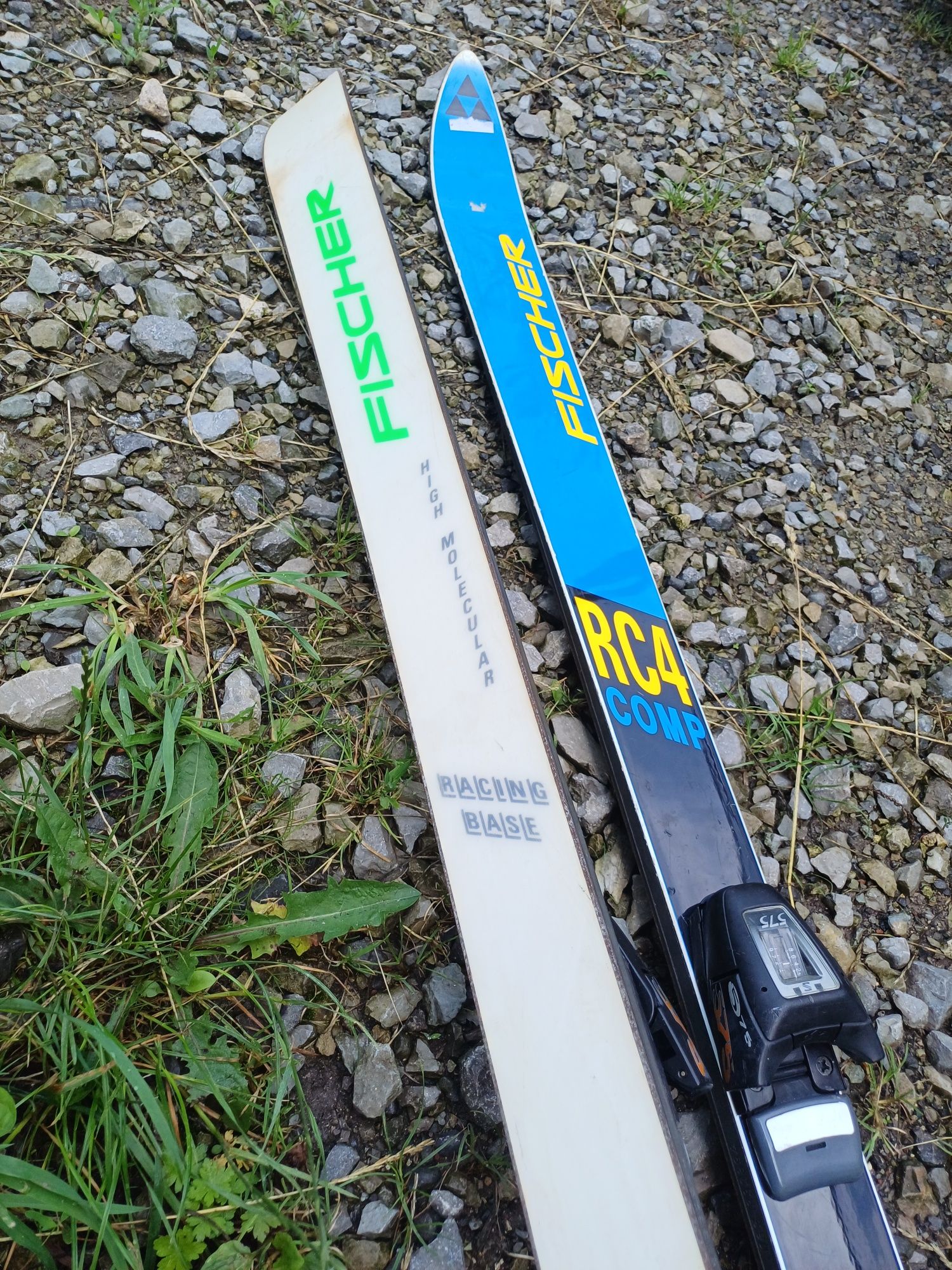 Гірські лижі Fischer RC4