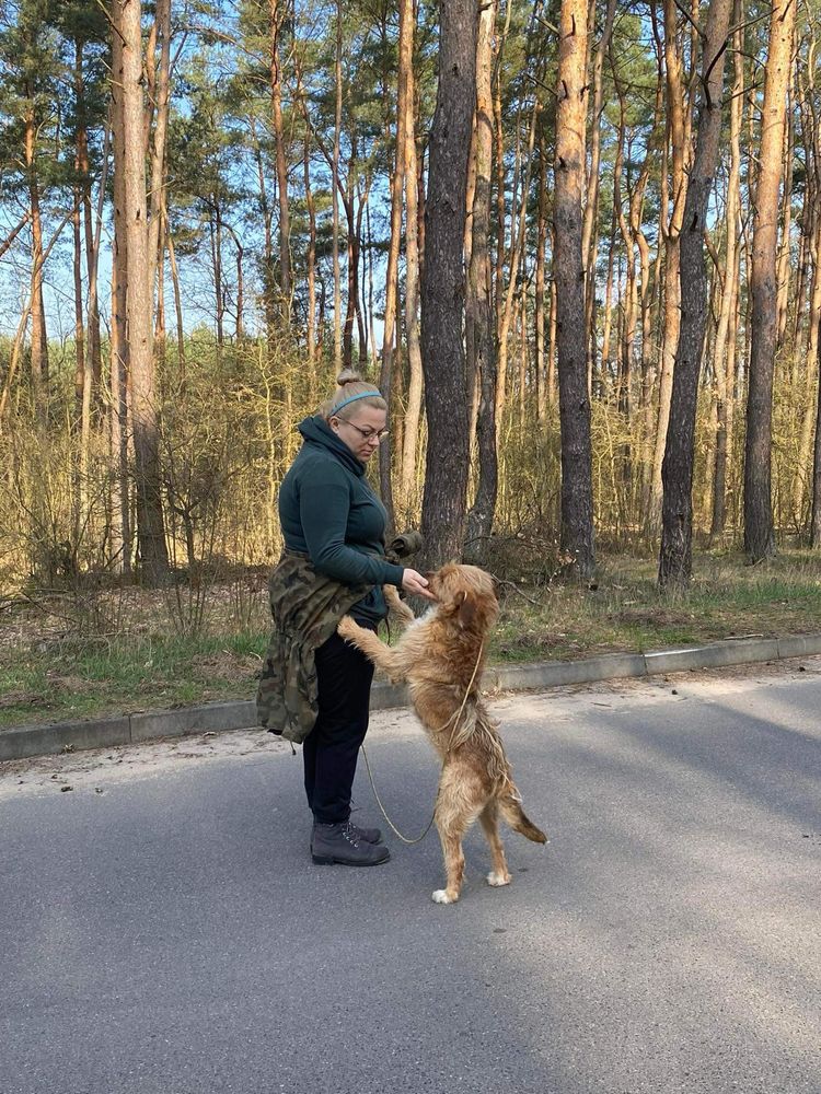 Przygarniesz Krisa pod swój dach?