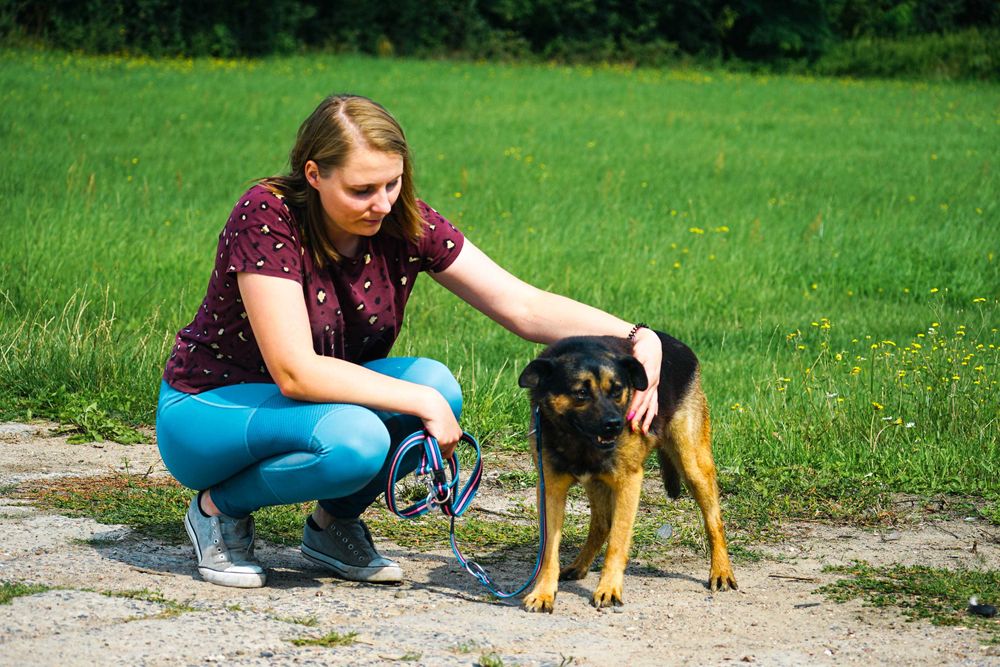 VIRGO - śliczny piesek szuka domu