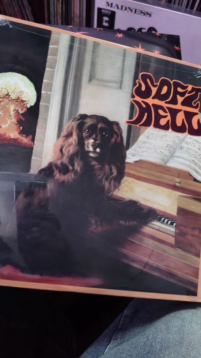 Acdc live 92 2lps
Shame 
Roam
Soft Heel 

Selados
50€