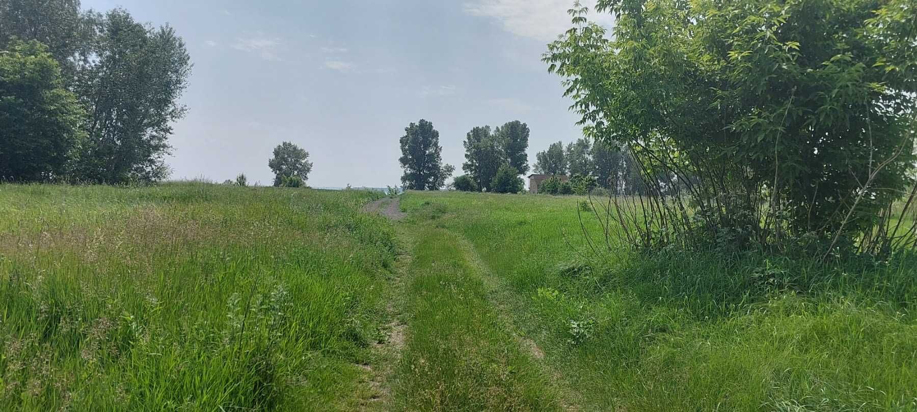 Козаровичі, 12 соток біля Київського моря. Супермісце!