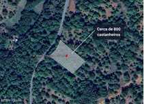 Terreno de 1480 m² em Devez, Tuizelo com Castanheiros à Venda