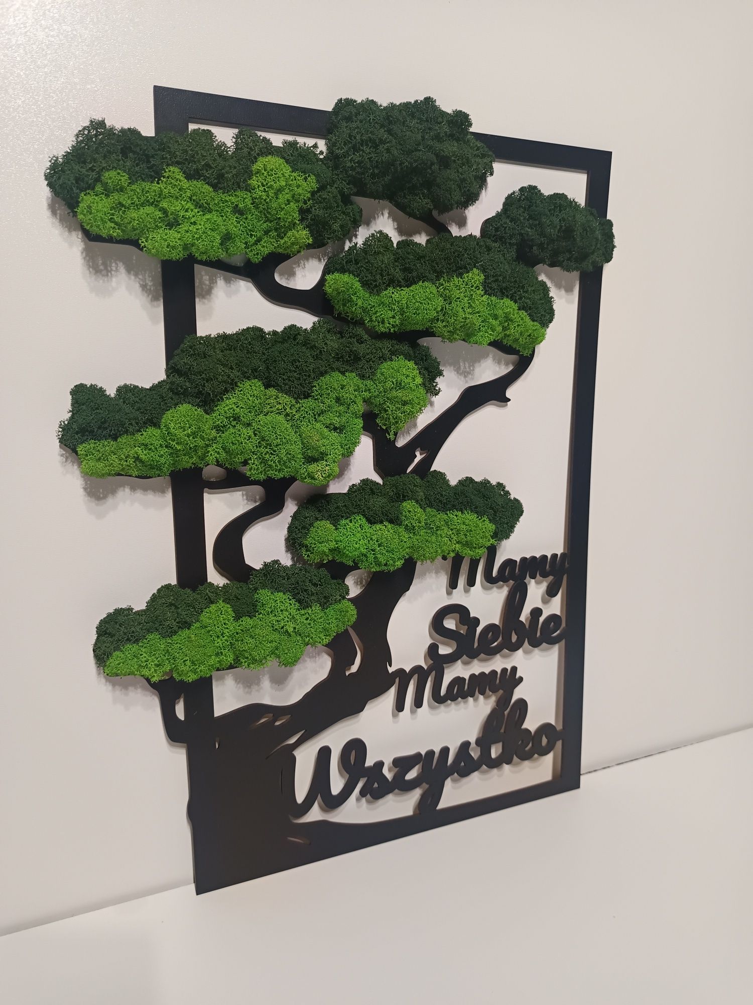 Obraz ażurowy mech CHROBOTEK 37/50cm