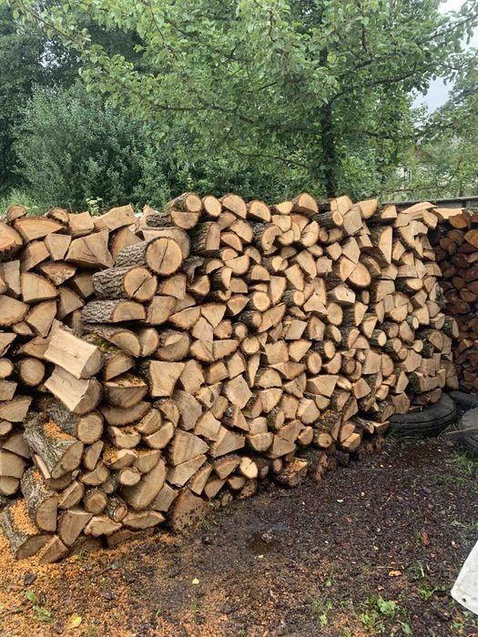 Купить дрова різних порід з швидкою доставкою