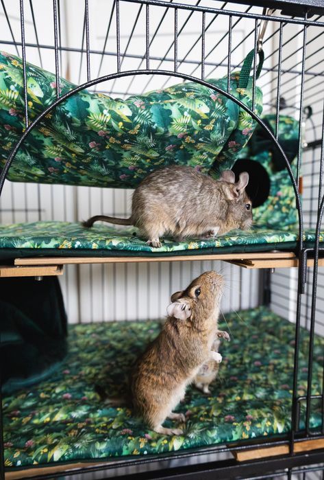 mata materac do klatki dla szynszyla królika świnki 140x70cm zielona