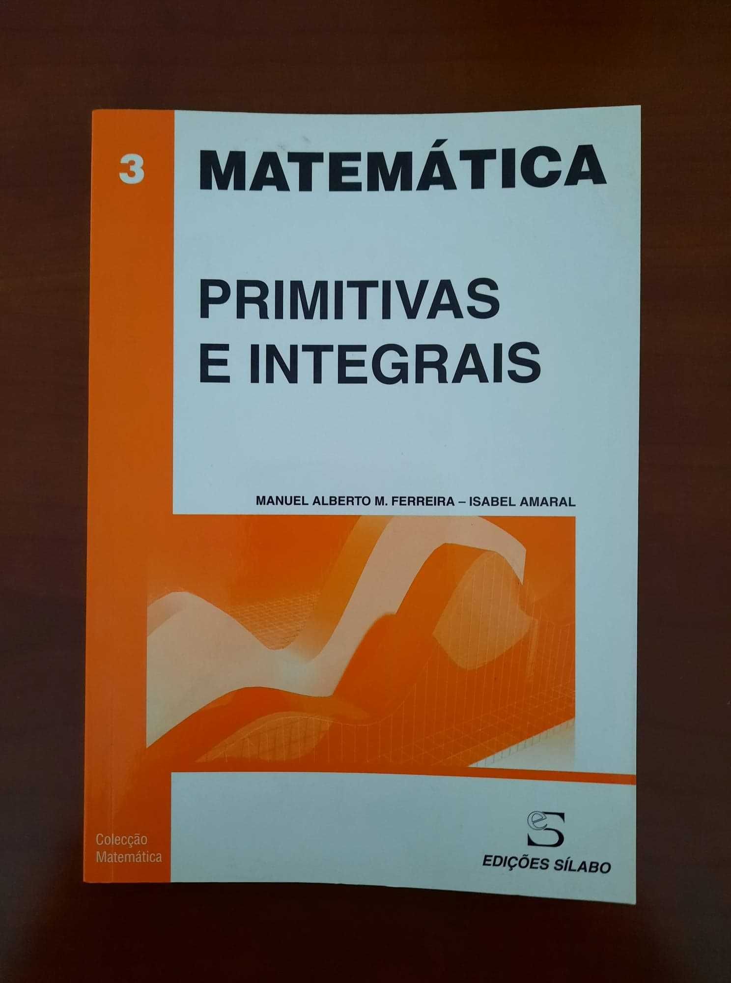 Matemática Primitivas e Integrais